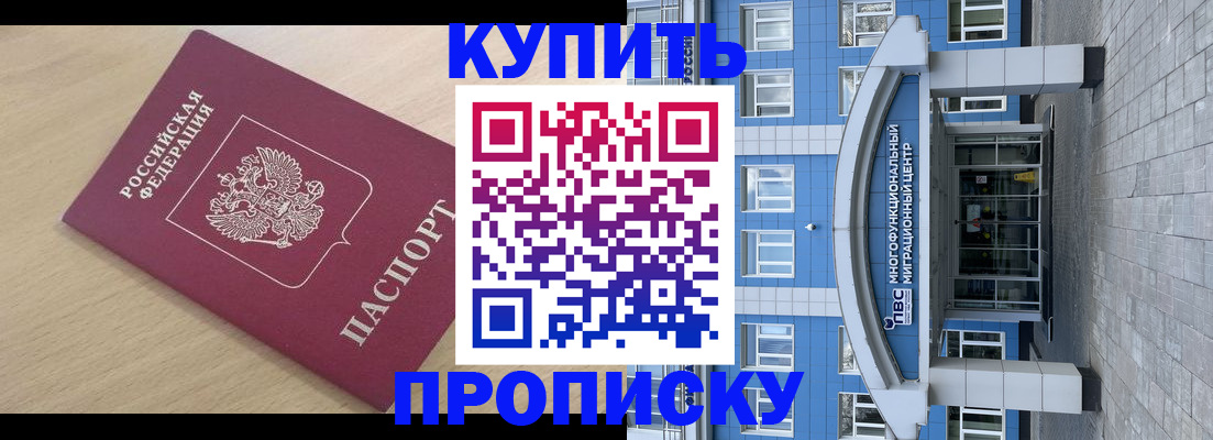 временная регистрация для всех в Завитинске